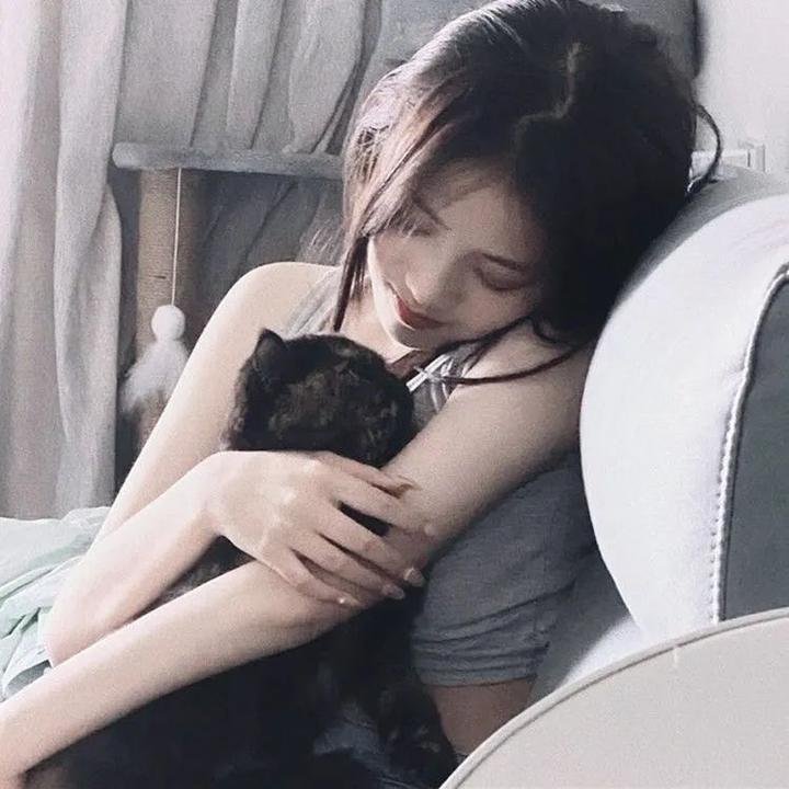 寻找特洛伊